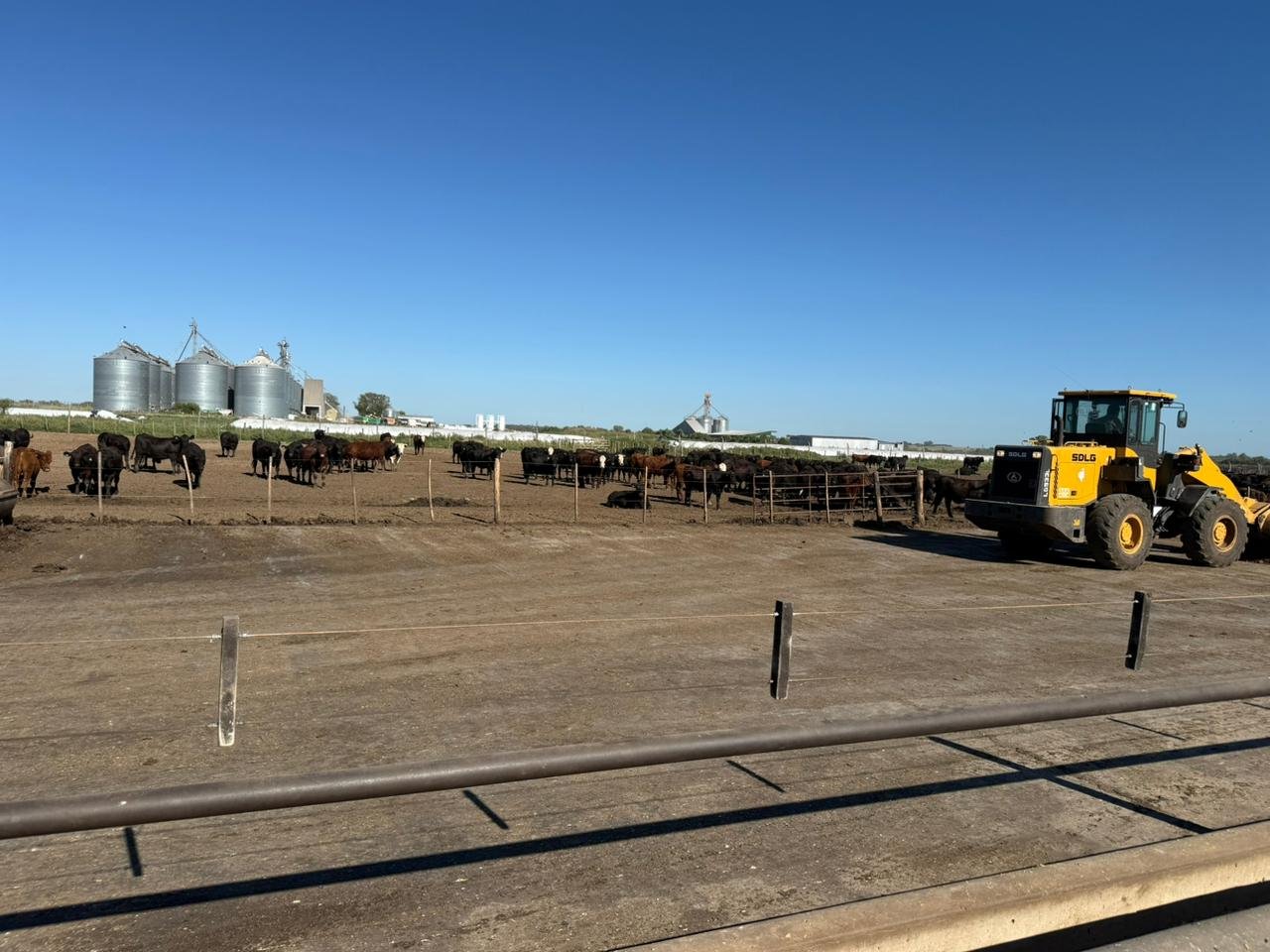Instalación agroindustrial con maquinaria pesada y ganado, ámbito de actuación de consultoría ambiental y seguridad laboral.